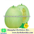 Big fruit Sweet Melon seeds for cultivating